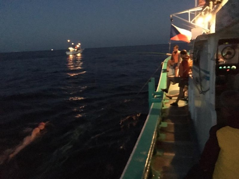 swimming into the dawn